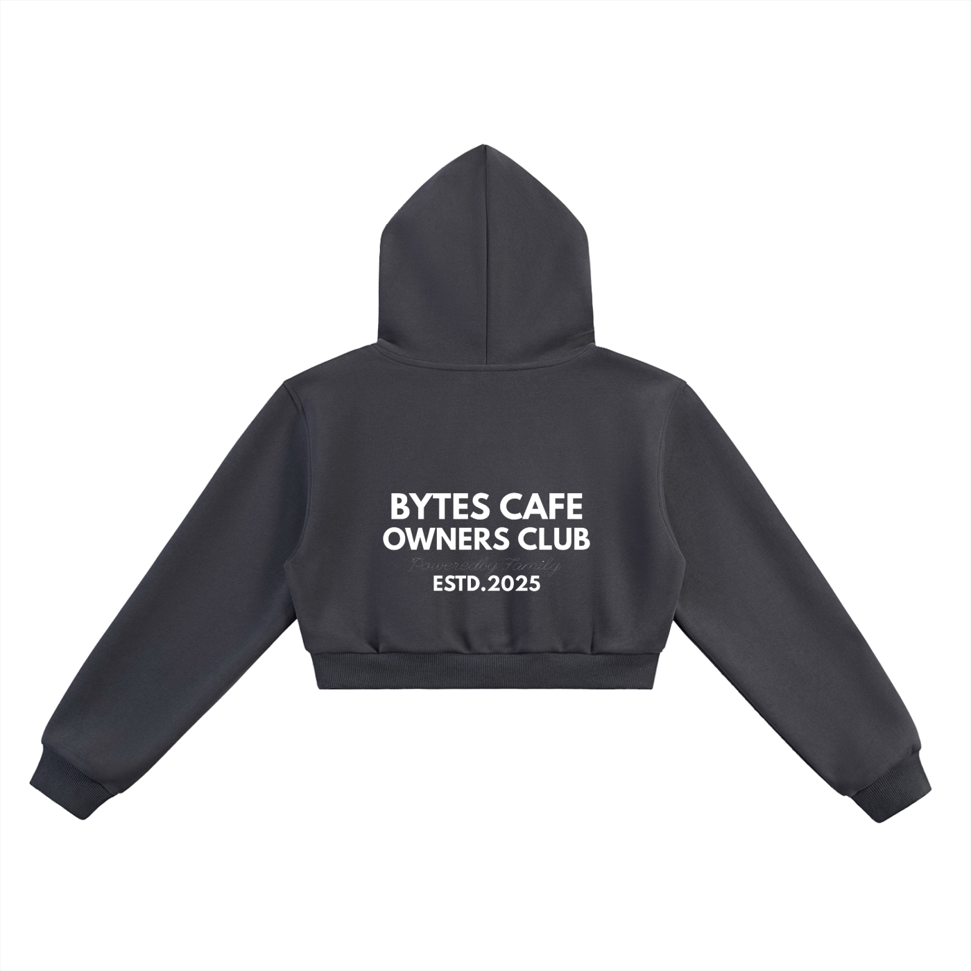 Bytes - Owners Club (Cropped Hoodie)